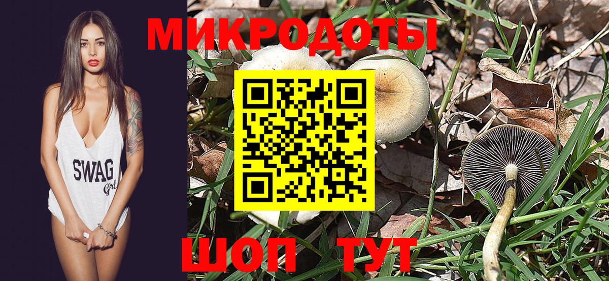 Краснокаменск  Псилоцибиновые грибы GOLDEN TEACHER  Галлюциногенные грибы Psilocybe  Вход с VPN 